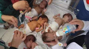 الأمم المتحدة: 14 ألف طفل حديث الولادة في غزة مهددون بالموت خلال يومين