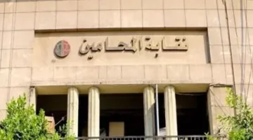 بيان مشترك من نقابة المحامين وحزب حماة الوطن حول أزمة الرسوم القضائية.. ما التفاصيل؟