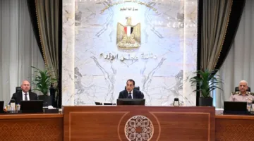 الحكومة تمنح الموافقة على تأسيس جامعة خاصة تحت اسم الجامعة المصرية الصينية بالإضافة إلى إنشاء جامعة العروبة.