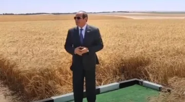 حصاد القمح لعام 2025: الرئيس السيسي يستعرض فيلمًا وثائقيًا بعنوان “القدرة والتنمية”