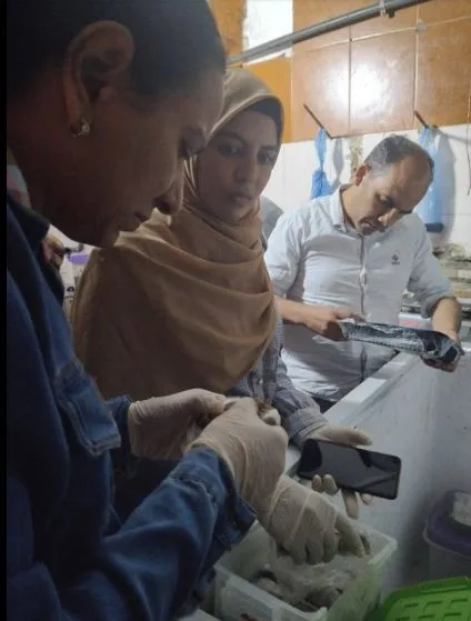 عنوان بديل: “إجراء عمليات تفتيش مفاجئة على مجموعة من المطاعم والم establishments التجارية” عنوان بديل: “إجراء عمليات تفتيش مفاجئة على مجموعة من المطاعم والم establishments التجارية”