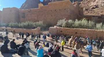 547 زائرًا يتجهون إلى المواقع الدينية في سانت كاترين