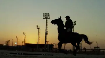 الرئيس السيسي يشهد فيلما تسجيليا عن الفيروسية وبطولتها العسكرية