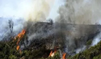 الجزائر: إجراءات احترازية مبكرة لتفادي حرائق الغابات تتضمن حظر الشواء والدخول غير المنظم خلال عيد الأضحى.