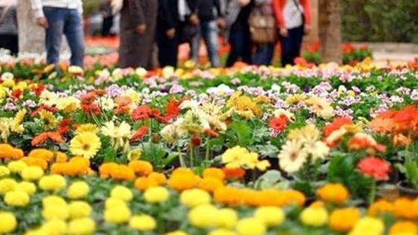 6 طرق طبيعية للتقليل من تأثير الحساسية في موسم الربيع