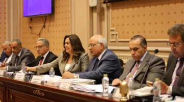 الإيجار القديم.. التنمية المحلية: دراسة لبيان الأثر الاجتماعي لإخلاء المساكن طبقا لنص المادة 5 من مشروع القانون
