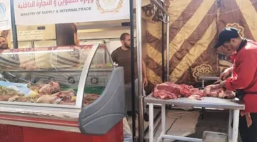 كيلو اللحم بسعر 250 جنيهاً.. محافظة القاهرة تُطلق معرض “أهلاً بالعيد” في الأميرية.