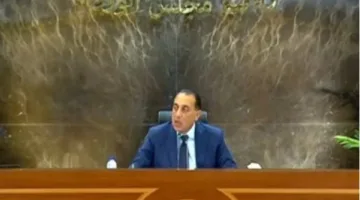 مدبولي يوضح سبب أزمة البنزين: شحنة تحتوي على نسبة مرتفعة من الكبريت.. والرئيس السيسي أمر باتخاذ خطوات قانونية