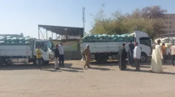 محافظ أسيوط: تسليم 132 ألف طن من القمح المحلي إلى 28 موقع تخزين حتى الآن