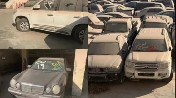 7 مليون جنيه إيرادات من بيع السيارات والبضائع في جمارك القاهرة ودمياط ورفح