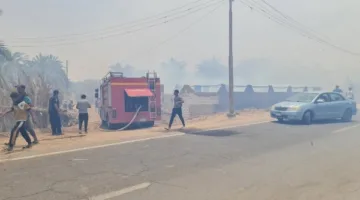 حاكم الوادي الجديد: إخماد حريق في مزروعات النخيل بمركز الداخلة