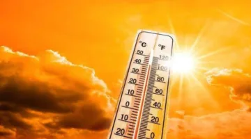 فيديو.. توقعات الأرصاد: ذروة حرارة شديدة غداً مع نشاط للرياح يثير الأتربة في معظم المناطق.