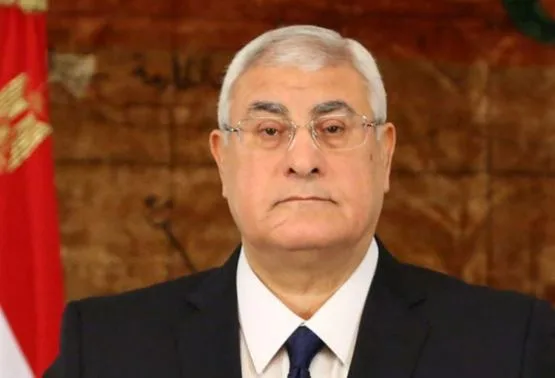 مفتي الجمهورية يواسي المستشار عدلي منصور في وفاة أخيه. مفتي الجمهورية يواسي المستشار عدلي منصور في وفاة أخيه.