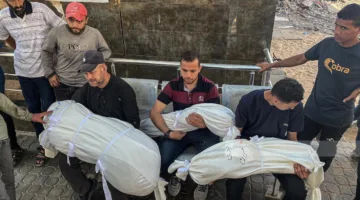 ارتفاع عدد الشهداء في م massacre الاحتلال بمدرسة الجرجاوي بمدينة غزة إلى 36 شهيداً.
