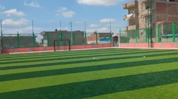 البحيرة تُطلق 7 مشروعات شبابية بميزانية 11.7 مليون جنيه لتحسين الخدمات الرياضية
