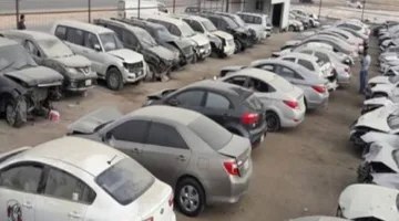 23.1 مليون جنيه إيرادات بيع سيارات وبضائع في مزاد جمارك بورسعيد اليوم