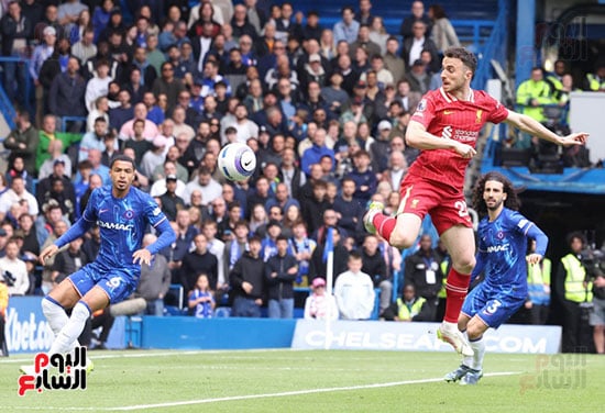 ليفربول ضد تشيلسى