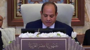 الرئيس السيسي: ضرورة وقف النزاع في السودان.. فهو الطريق الوحيد لضمان الاستقرار في لبنان.
