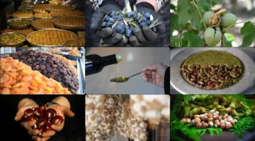 81 منتجًا تركيًا بحاجة إلى الاعتراف في السوق الأوروبية