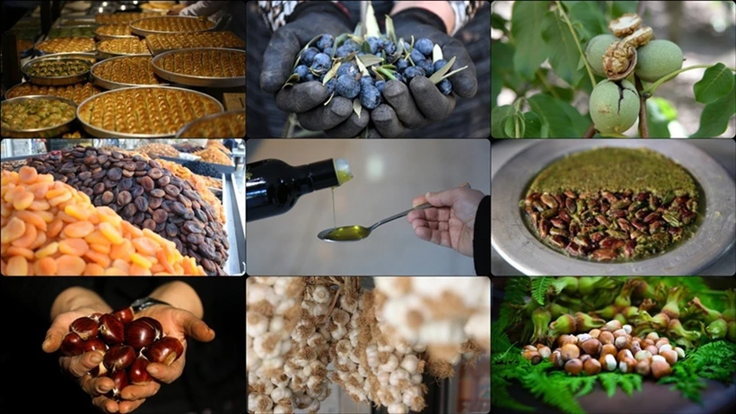 81 منتجًا تركيًا بحاجة إلى الاعتراف في السوق الأوروبية 81 منتجًا تركيًا بحاجة إلى الاعتراف في السوق الأوروبية