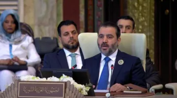 وزير خارجية سوريا: الهجمات الإسرائيلية المتكررة والمنظمة تمثل خطرًا على الاستقرار الإقليمي.