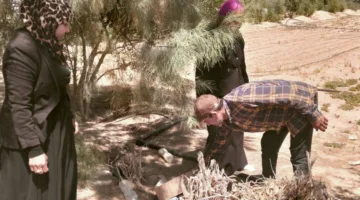 بدء حملة لمواجهة الجرذان في مركز رفح بشمال سيناء
