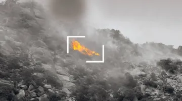 90% من حرائق الغابات ناتجة عن سلوكيات غير صحيحة