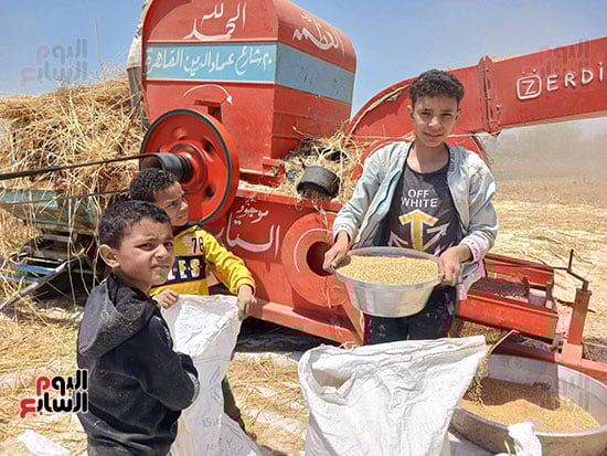 فرحة-الحصاد