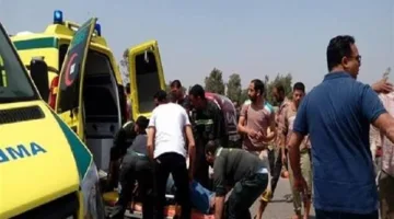 مقتل 3 أفراد وإصابة 20 آخرين بينهم أطفال جراء انقلاب سيارة عمال على طريق الفرافرة – ديروط