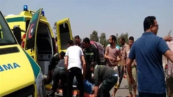 مقتل 3 أفراد وإصابة 20 آخرين بينهم أطفال جراء انقلاب سيارة عمال على طريق الفرافرة – ديروط مقتل 3 أفراد وإصابة 20 آخرين بينهم أطفال جراء انقلاب سيارة عمال على طريق الفرافرة – ديروط