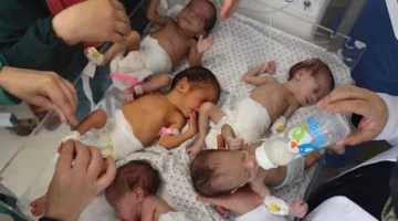التقرير الأممي حول حق الغذاء: 14 ألف طفل في غزة مهددون بالوفاة إذا لم تصل المساعدات فوراً