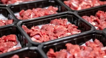 قنا: توفير كميات وفيرة من اللحوم والدواجن تحضيراً لعيد الأضحى