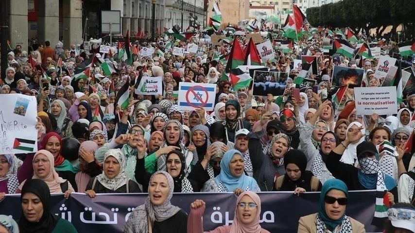 المغرب: 96 احتجاجًا في 66 مدينة تنديدًا بالاعتداء على غزة ورفضًا للتهجير المغرب: 96 احتجاجًا في 66 مدينة تنديدًا بالاعتداء على غزة ورفضًا للتهجير