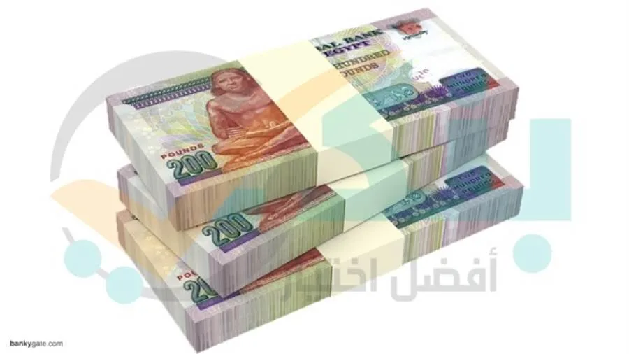 CIB وQNB مصر يتصدران جذب الودائع من البنوك المدرجة في البورصة.. وقناة السويس تحقق أسرع معدل نمو في الربع الأول من 2025 CIB وQNB مصر يتصدران جذب الودائع من البنوك المدرجة في البورصة.. وقناة السويس تحقق أسرع معدل نمو في الربع الأول من 2025