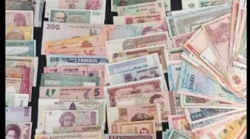 دولارات وإسترليني ضمن مسروقات نوال الدجوي.. هل يسمح للمواطن بتخزين العملات الأجنبية في منزله؟