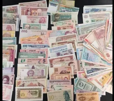 دولارات وإسترليني ضمن مسروقات نوال الدجوي.. هل يسمح للمواطن بتخزين العملات الأجنبية في منزله؟