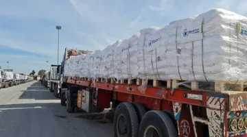 الهيئة العبرية للبث: ويتكوف يلتزم أمام حماس بالضغط على إسرائيل لاستئناف مساعدات غزة مقابل الإفراج عن عيدان ألكسندر.