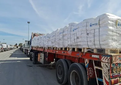 الهيئة العبرية للبث: ويتكوف يلتزم أمام حماس بالضغط على إسرائيل لاستئناف مساعدات غزة مقابل الإفراج عن عيدان ألكسندر. الهيئة العبرية للبث: ويتكوف يلتزم أمام حماس بالضغط على إسرائيل لاستئناف مساعدات غزة مقابل الإفراج عن عيدان ألكسندر.