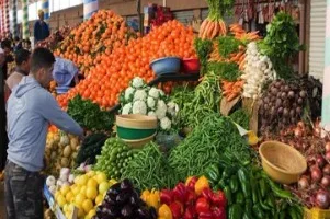 الاثنين 19 مايو 2025: تحديث أسعار الخضروات والفواكه في سوق العبور اليوم