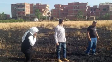 إخماد حريق في حقل قمح بعزبة المعلم في المنوفية دون تسجيل إصابات