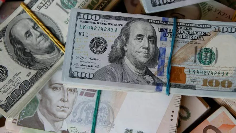 Ukraine Considers Shifting from Dollar to Euro Amid Geopolitical Realignments