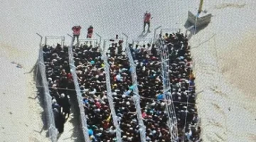 الأمم المتحدة: مشاهد تجمع الفلسطينيين للحصول على المساعدات في غزة تثير الحزن.