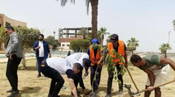 زراعة 200 شجرة في الإسماعيلية ضمن حملة اتحضر للأخضر