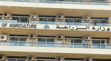 &quot;الزراعة&quot; تعلن التوصل إلى آلية لتسهيل دخول المزارعين إلى الأراضي الحدودية