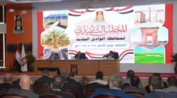 الوادي الجديد يجهز للاحتفال بعيد الأضحى وللامتحانات الثانوية العامة والأزهرية من خلال خطة متكاملة ومشاريع خدمية متعددة.