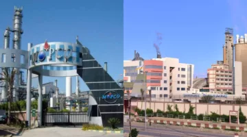 موبكو وأبو قير للأسمدة تقلصان إنتاجهما بنسبة 30% إثر تقليص إمدادات الغاز