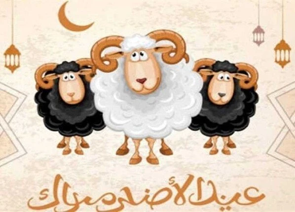 تاريخ وقفة عرفات وعيد الأضحى 2025.. «كم يوم عطلة؟»