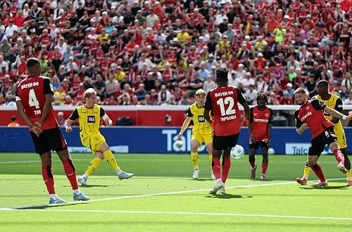 دورتموند يكتسح ليفركوزن في ليلة توديع ألونسو دورتموند يكتسح ليفركوزن في ليلة توديع ألونسو