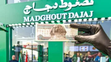 قيم جيدة مقابل الأسعار: مضغوط الدجاج يسعى لتقديم عروض جذابة لعملائه