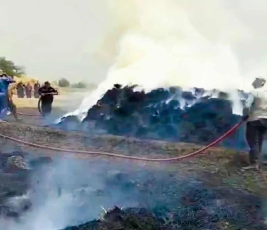 إخماد حريق في محصول القمح بكفر قطور بالغربية إخماد حريق في محصول القمح بكفر قطور بالغربية